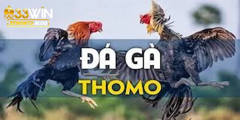 Choáng ngợp trước các trận gay cấn tìm ra nhà vô địch của thomo