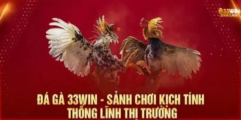 đá gà thomo 888 - ảnh đại diện