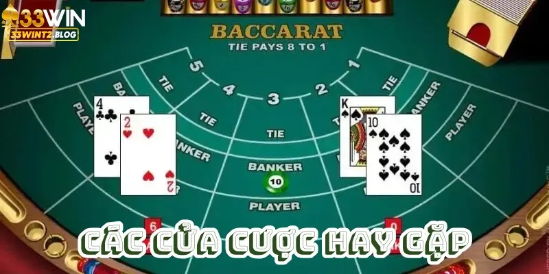 Trong cách đánh bài baccarat có rất nhiều mức cược